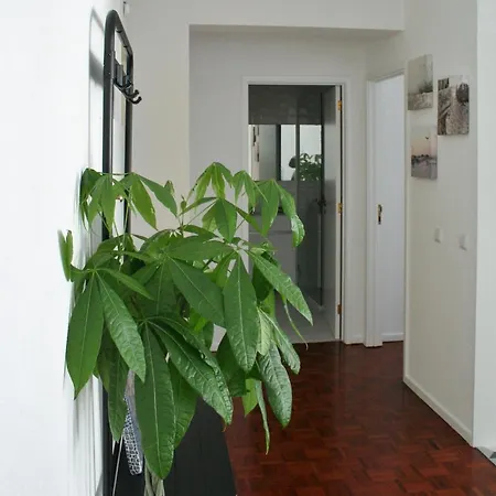Welcome To Matosinhos 公寓